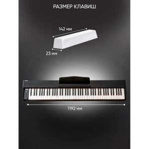 Купить Синтезатор AIWA ASZ-88B-2.jpg